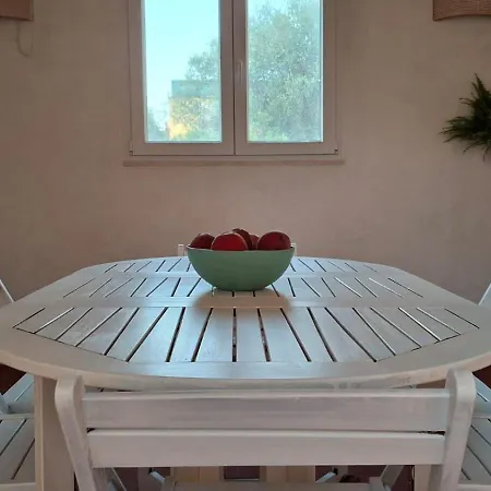 Petali * Olia Speciosa