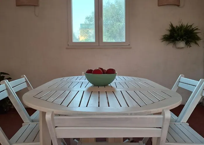 Petali * Olia Speciosa